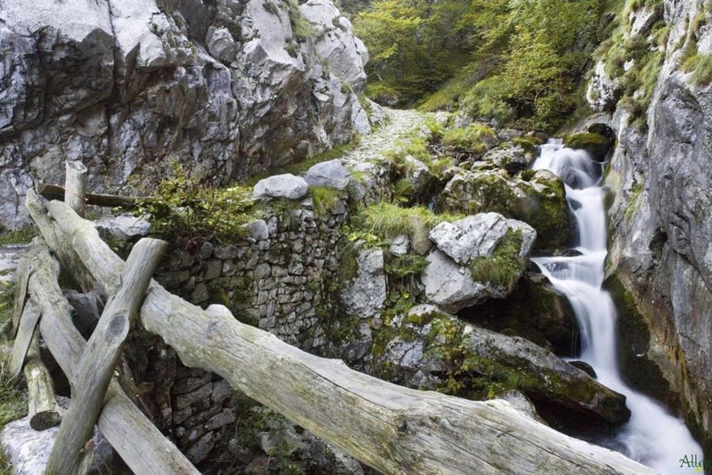 Los Molinos - Atico En Montana De Asturias 费里楚萨 外观 照片