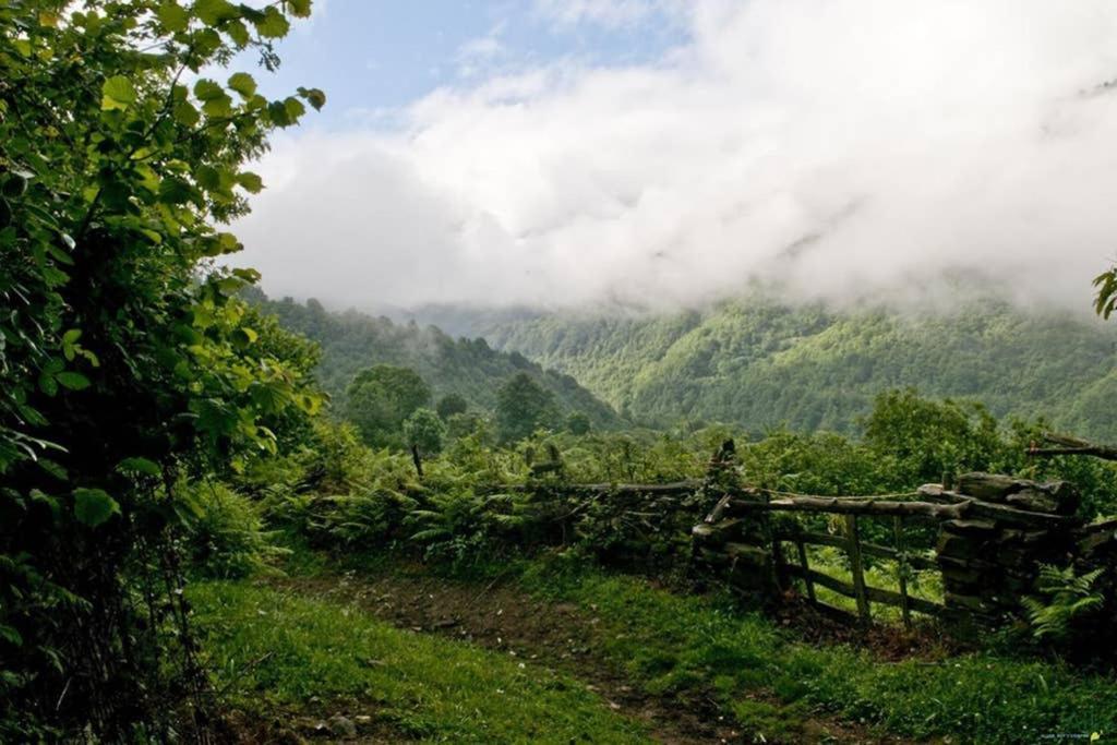 Los Molinos - Atico En Montana De Asturias 费里楚萨 外观 照片