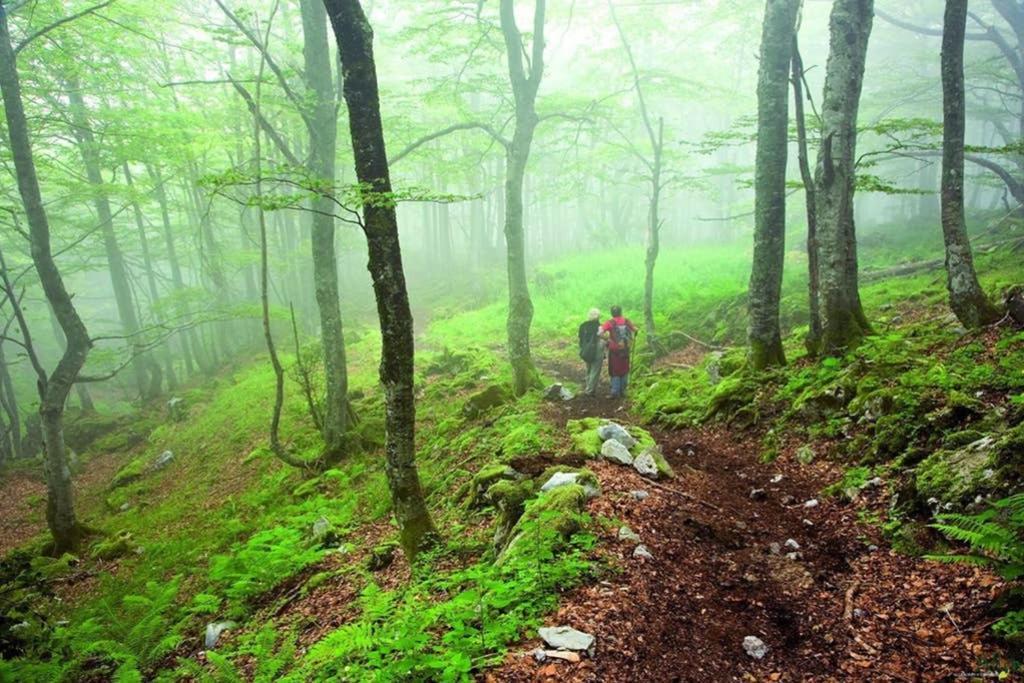 Los Molinos - Atico En Montana De Asturias 费里楚萨 外观 照片