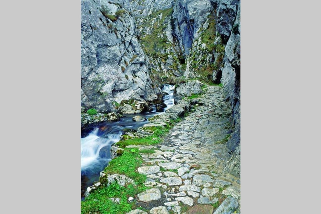 Los Molinos - Atico En Montana De Asturias 费里楚萨 外观 照片